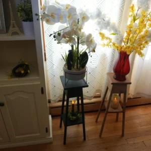 Petite Plant Stand (Customizable)